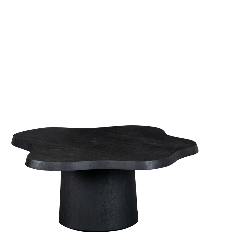NEWTON COFFEE TABLE BLACK W90/D90/H37