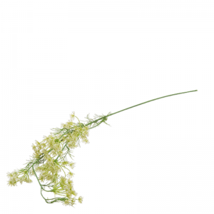 LARGE QUEEN ANN LACE WHITE