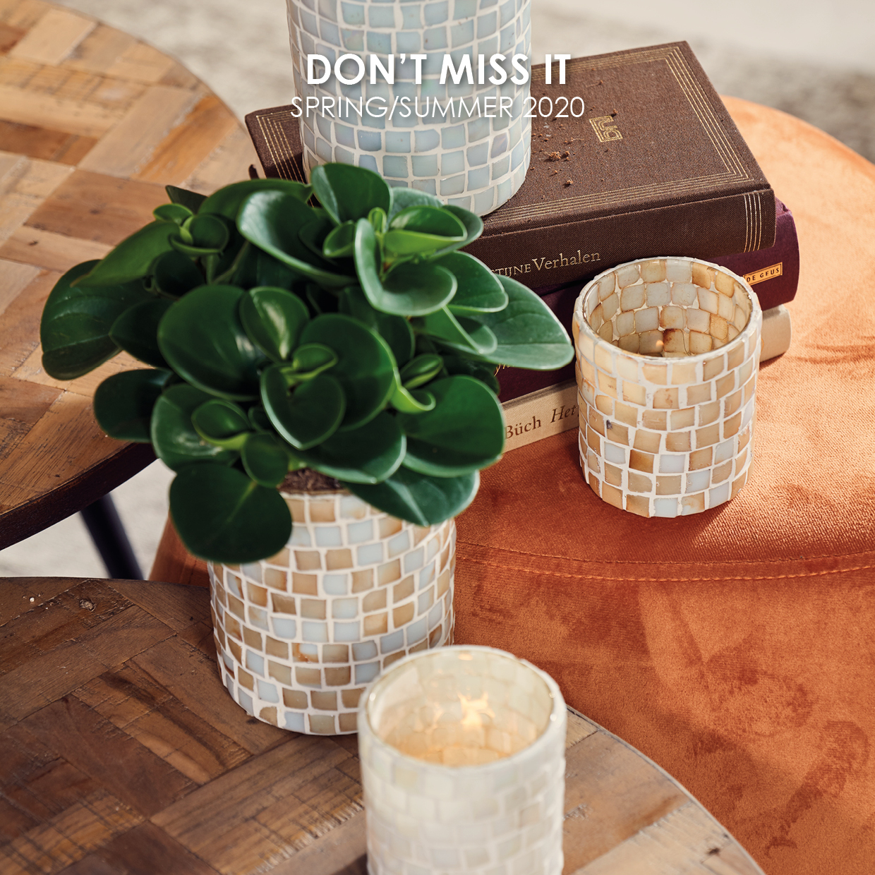 home » LifeStyle Home Collection