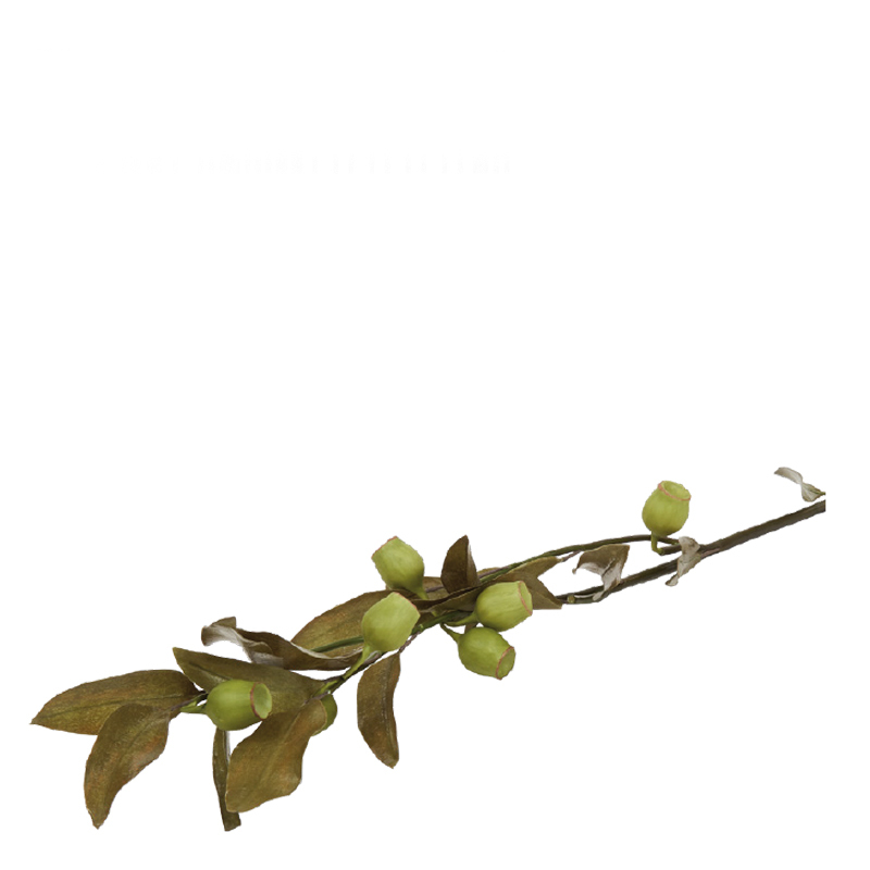 EUCALYPTUS LEAF BERRY GREEN