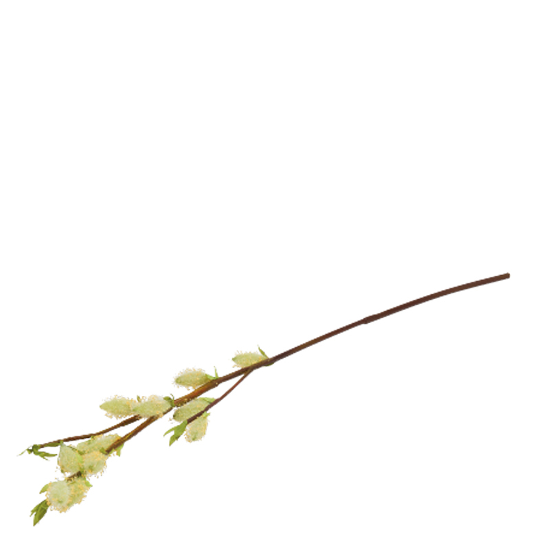 PUSSY WILLOW SPRAY