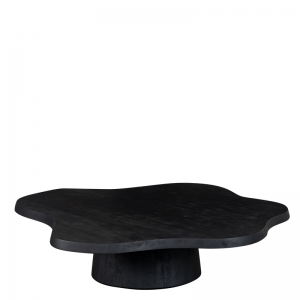 NEWTON COFFEE TABLE BLACK W120/D120/H28