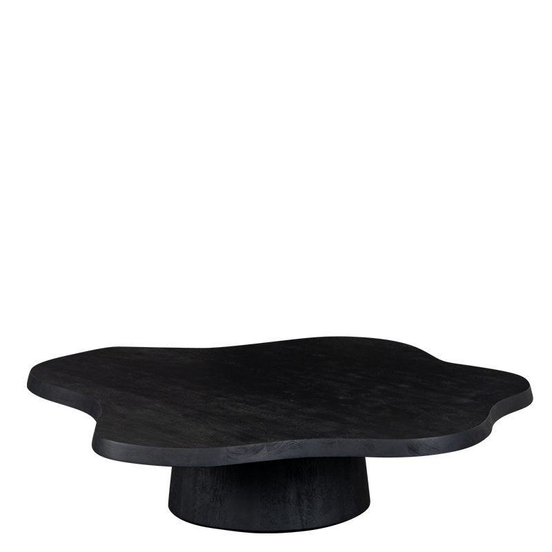 NEWTON COFFEE TABLE BLACK W120/D120/H28