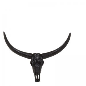 BULL SKULL BLACK S